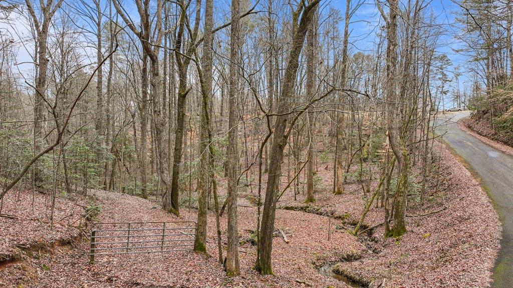 00 Timberland Drive, Ellijay GA 30540 - Photo