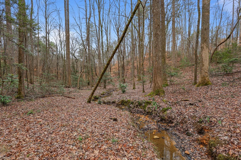 00 Timberland Drive, Ellijay GA 30540 - Photo