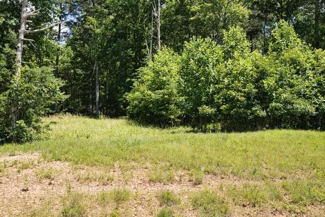 Lot 35 Hidden Harbor, Blairsville GA 30512 - Photo