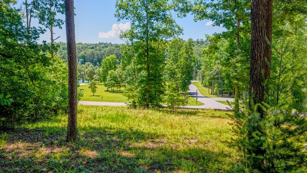Lot 35 Hidden Harbor, Blairsville GA 30512 - Photo