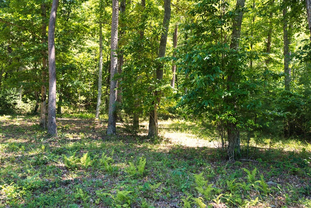 Lot 35 Hidden Harbor, Blairsville GA 30512 - Photo
