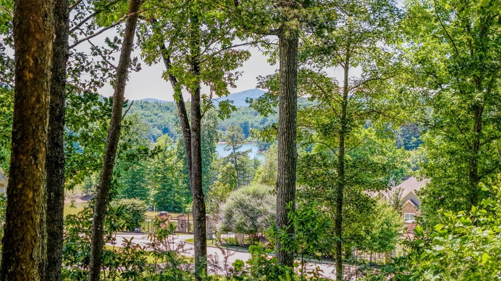Lot 35 Hidden Harbor, Blairsville GA 30512 - Photo