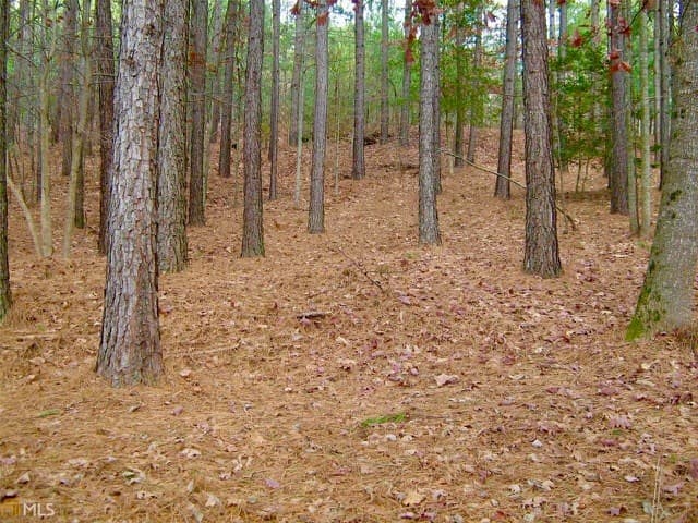 00 Golden Delicious Road, Clarkesville GA 30523 - Photo