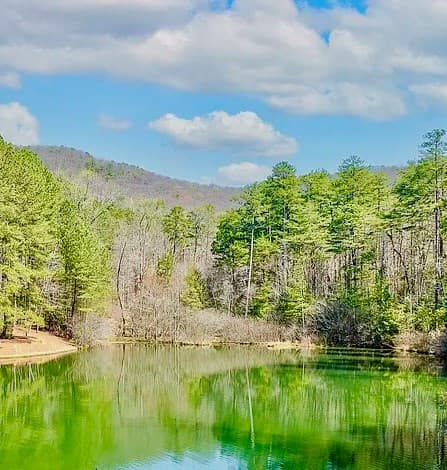 00 Golden Delicious Road, Clarkesville GA 30523 - Photo