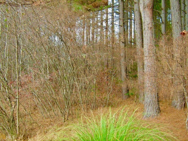 00 Golden Delicious Road, Clarkesville GA 30523 - Photo