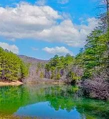 00 Golden Delicious Road, Clarkesville GA 30523 - Primary photo