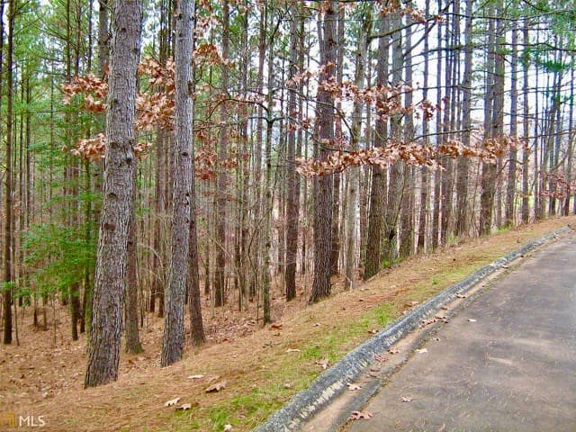 00 Golden Delicious Road, Clarkesville GA 30523 - Photo