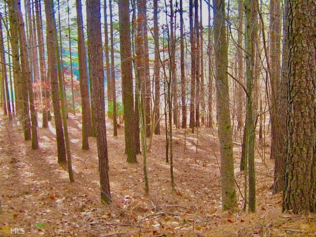 00 Golden Delicious Road, Clarkesville GA 30523 - Photo