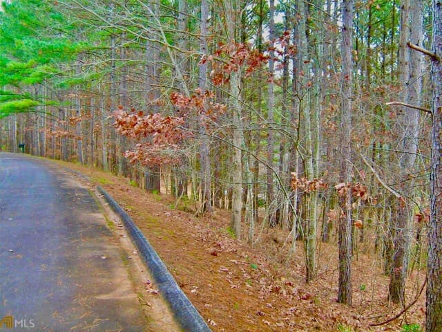 00 Golden Delicious Road, Clarkesville GA 30523 - Photo