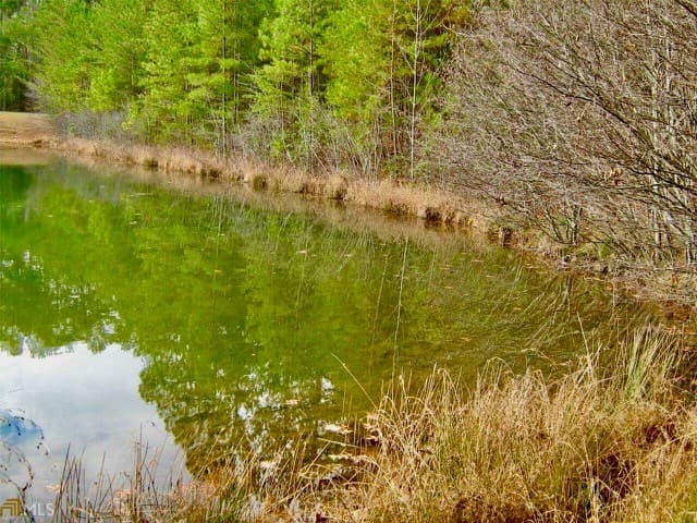 00 Golden Delicious Road, Clarkesville GA 30523 - Photo