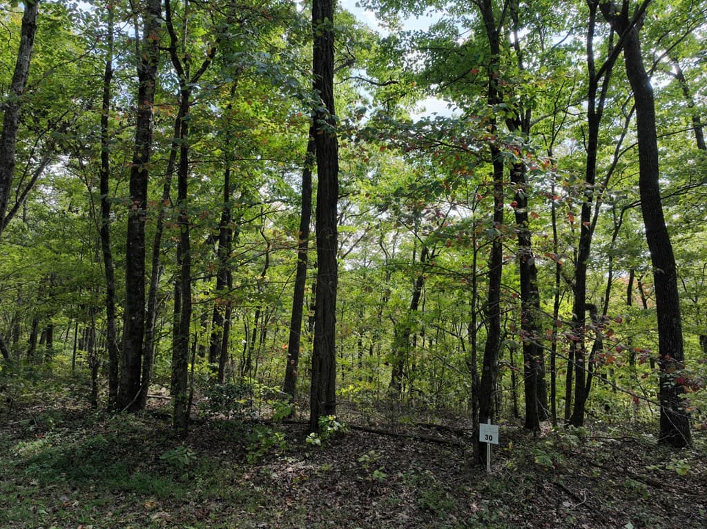 30 Andes Ridge, Jasper GA 30143 - Photo