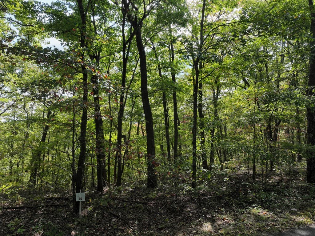 30 Andes Ridge, Jasper GA 30143 - Photo