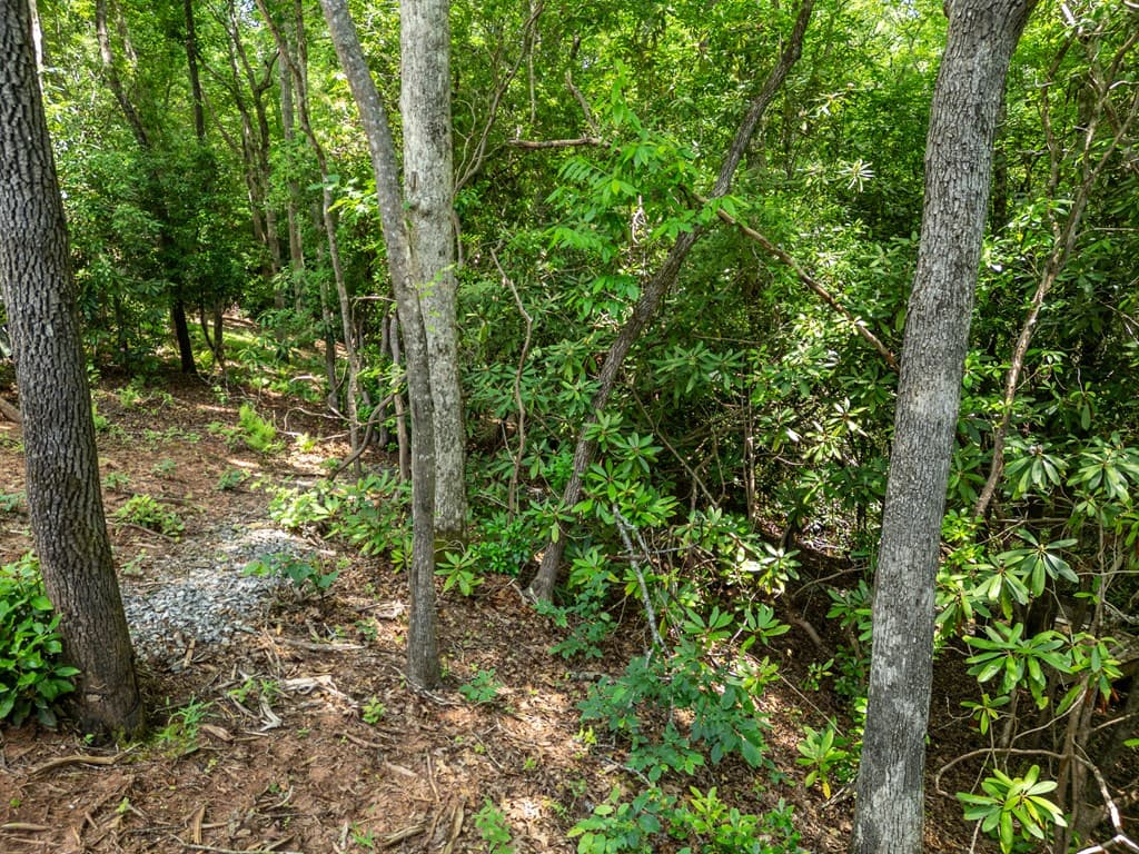 297 Summitt Lane, Murphy NC 28906 - Photo