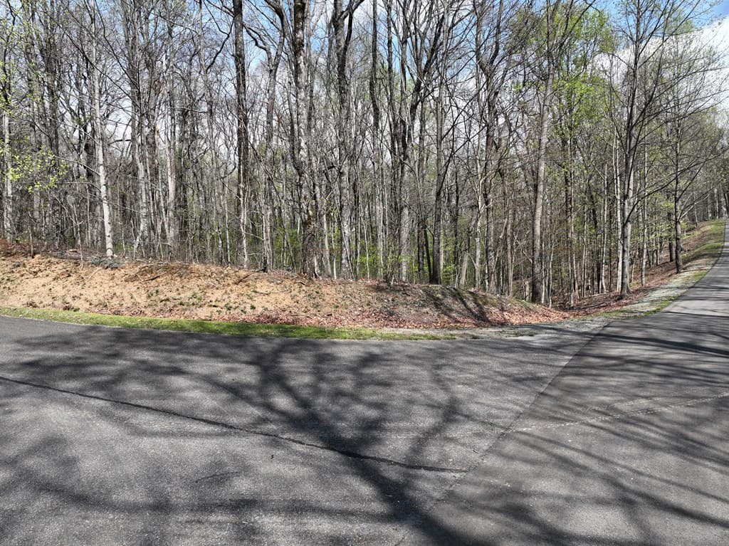 189 St Andrews Way, Ellijay GA 30536 - Photo