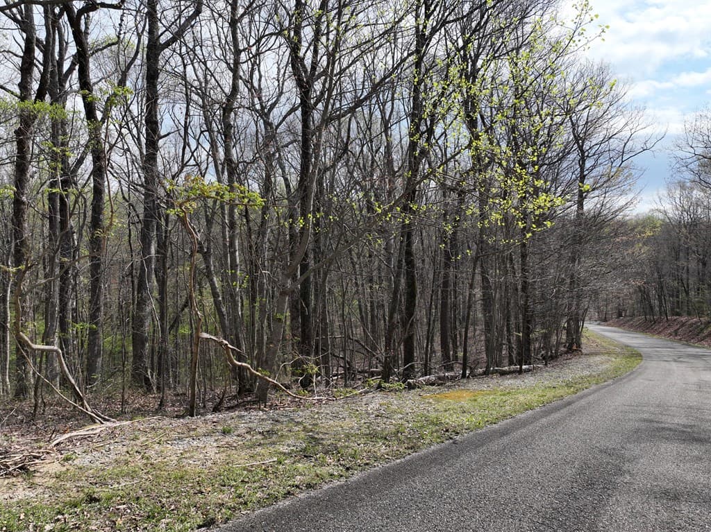189 St Andrews Way, Ellijay GA 30536 - Photo