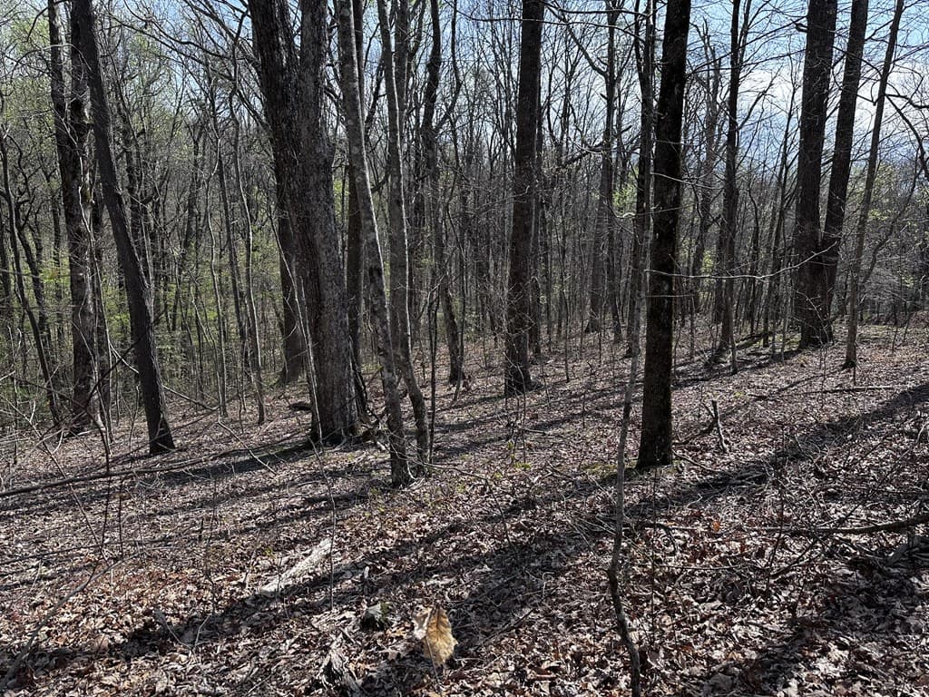 189 St Andrews Way, Ellijay GA 30536 - Photo