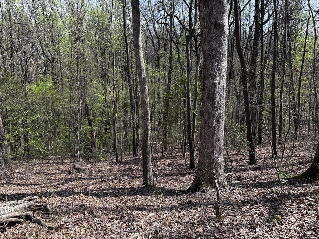 189 St Andrews Way, Ellijay GA 30536 - Photo