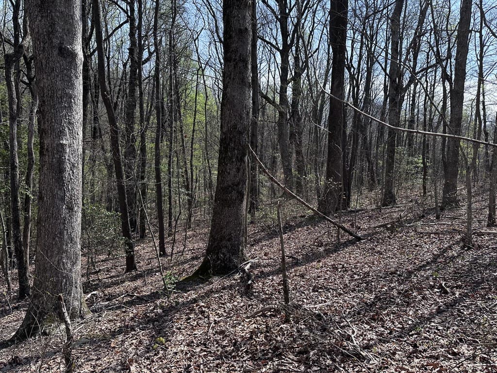 189 St Andrews Way, Ellijay GA 30536 - Photo