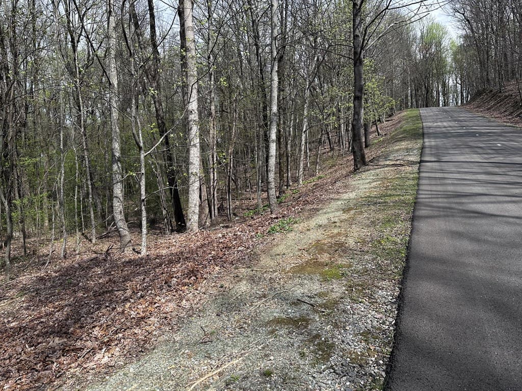 189 St Andrews Way, Ellijay GA 30536 - Photo