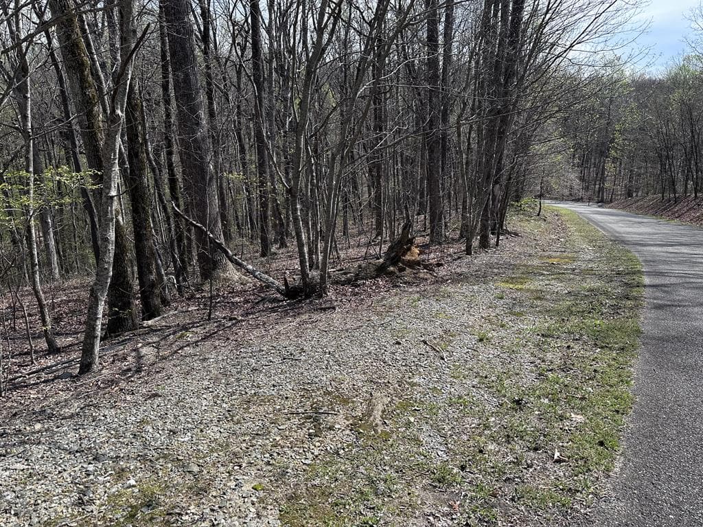 189 St Andrews Way, Ellijay GA 30536 - Primary photo