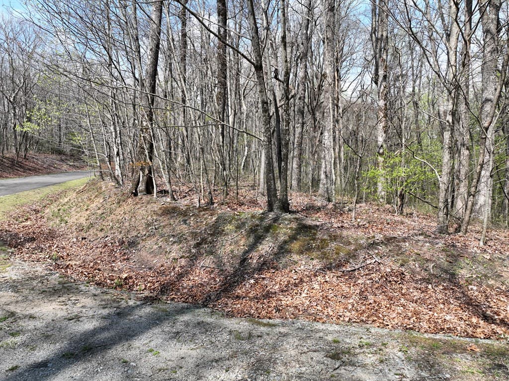 189 St Andrews Way, Ellijay GA 30536 - Photo
