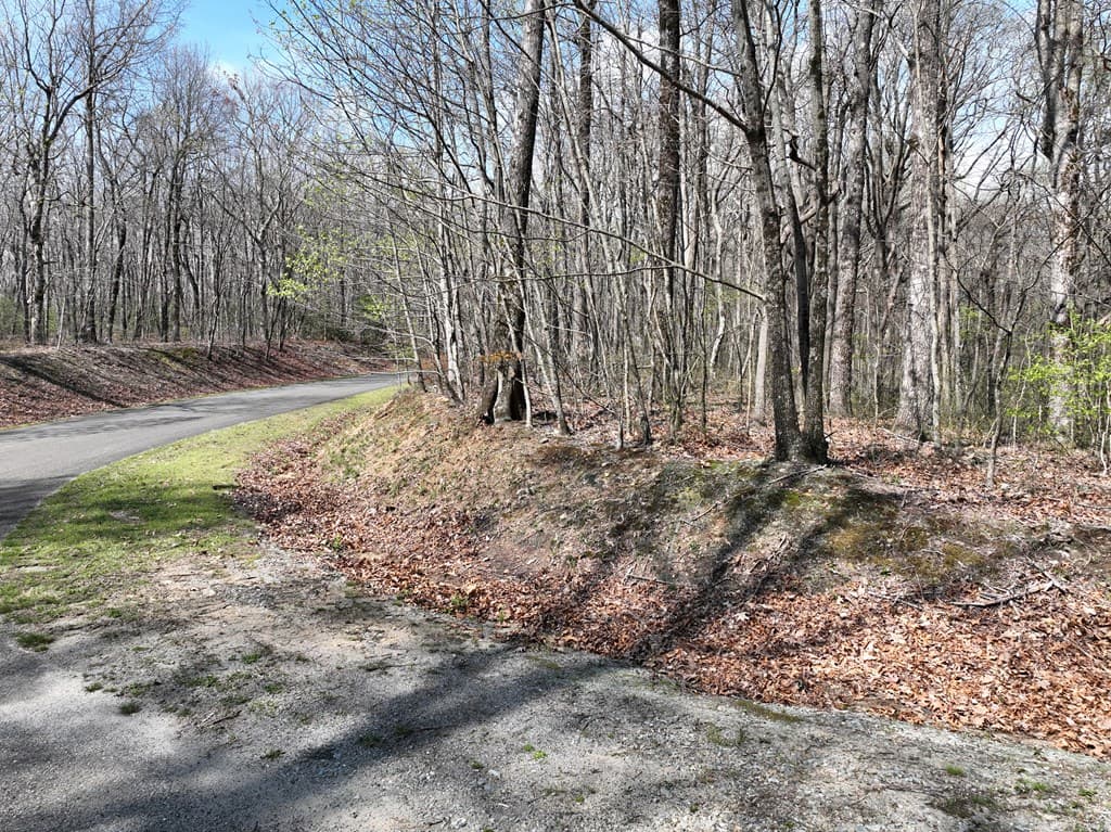 189 St Andrews Way, Ellijay GA 30536 - Photo