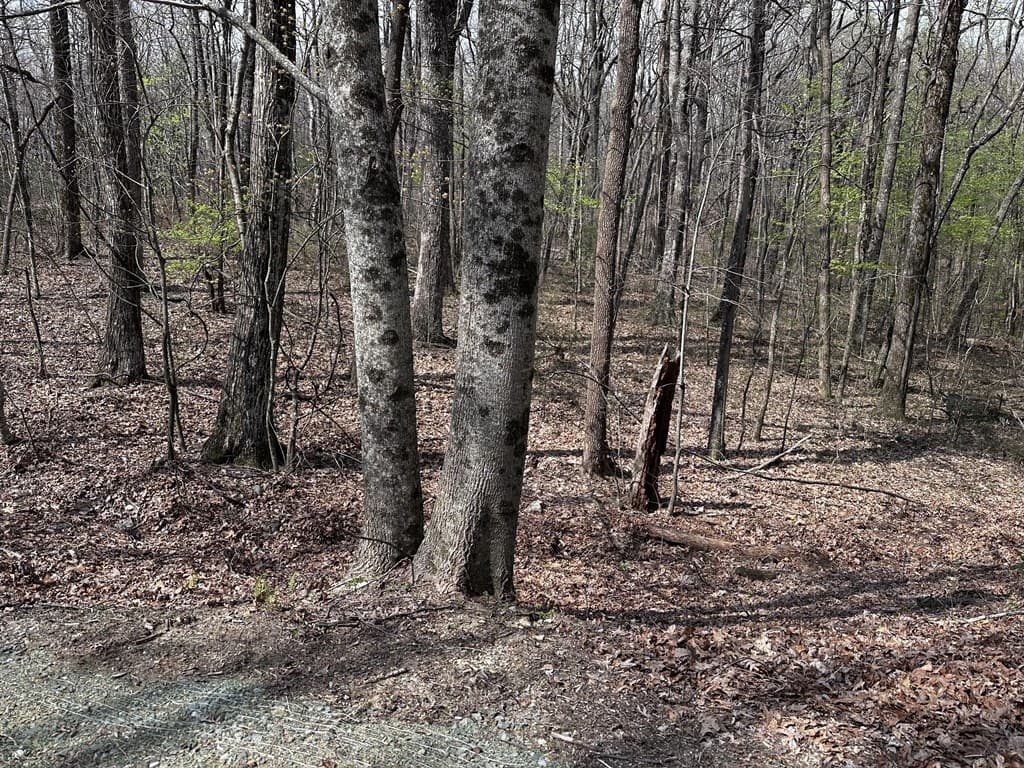 189 St Andrews Way, Ellijay GA 30536 - Photo