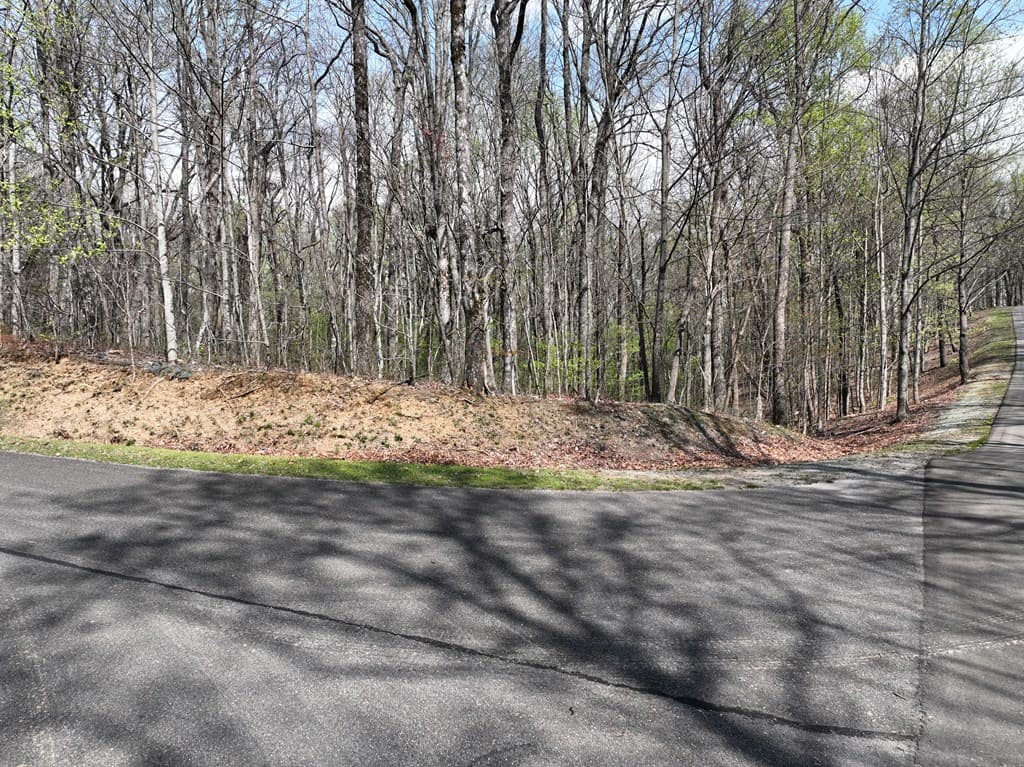 189 St Andrews Way, Ellijay GA 30536 - Photo