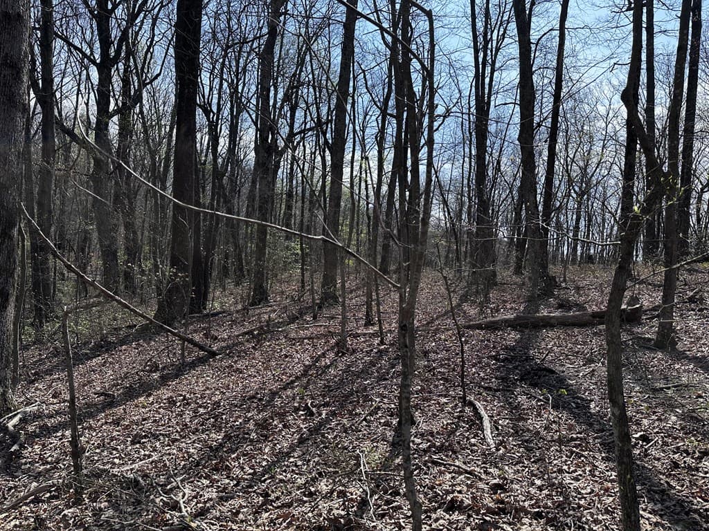 189 St Andrews Way, Ellijay GA 30536 - Photo