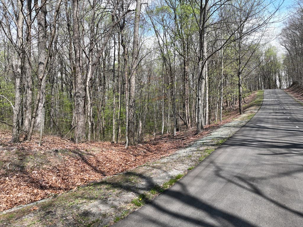 189 St Andrews Way, Ellijay GA 30536 - Photo