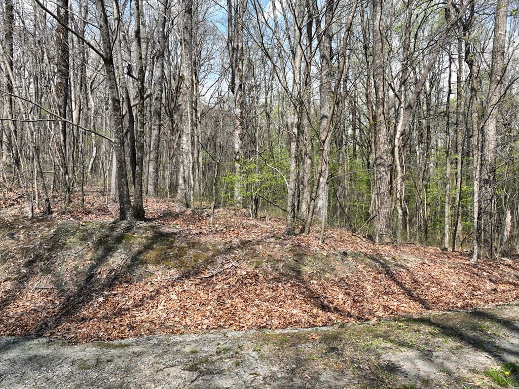 189 St Andrews Way, Ellijay GA 30536 - Photo