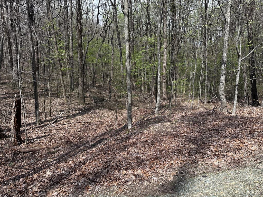 189 St Andrews Way, Ellijay GA 30536 - Photo
