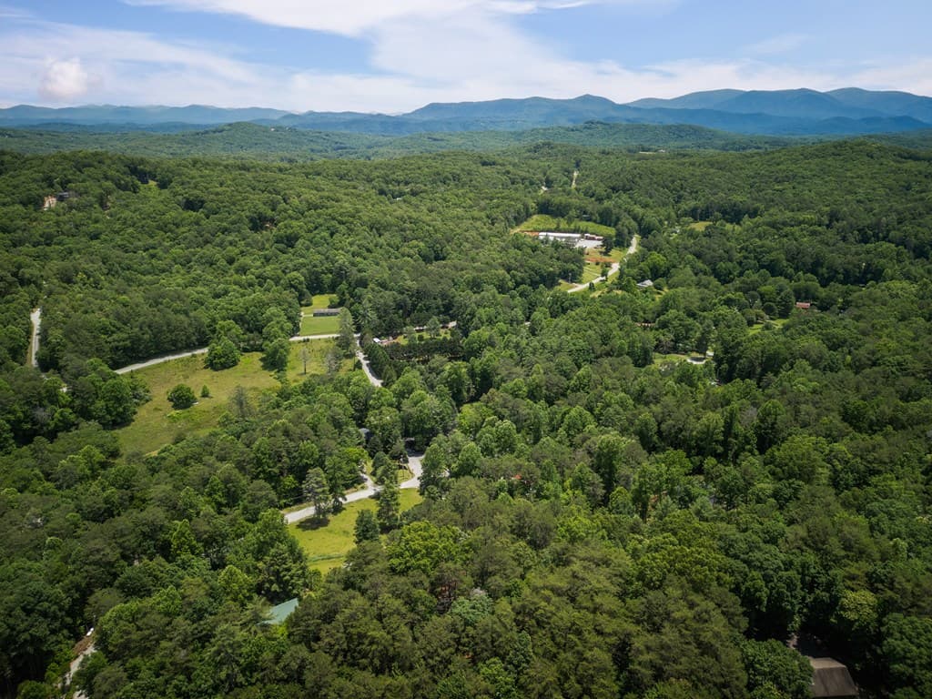 190 Laurel Crossing, Blue Ridge GA 30513 - Photo
