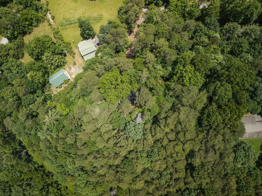 190 Laurel Crossing, Blue Ridge GA 30513 - Photo