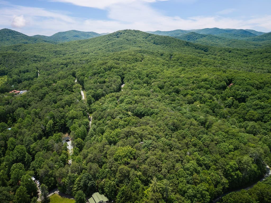 190 Laurel Crossing, Blue Ridge GA 30513 - Photo