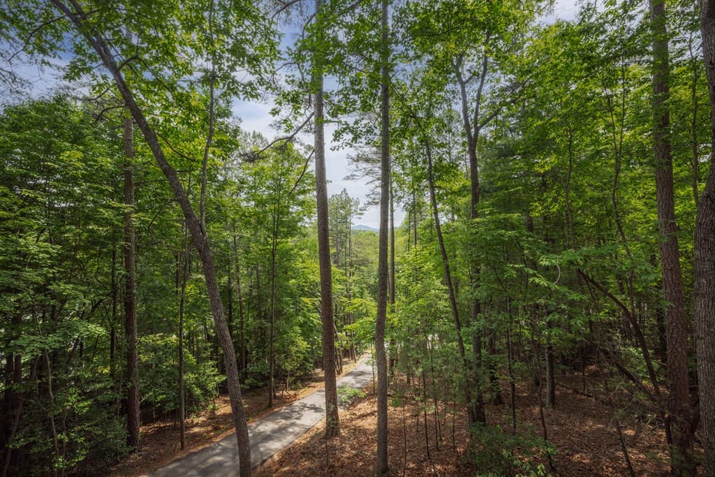 190 Laurel Crossing, Blue Ridge GA 30513 - Photo