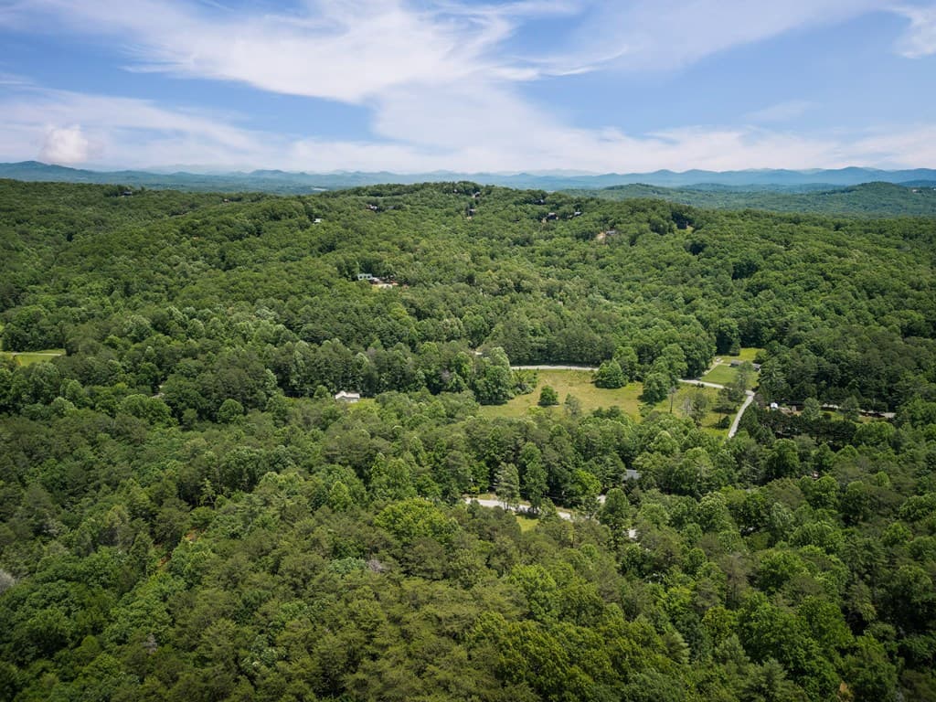 190 Laurel Crossing, Blue Ridge GA 30513 - Photo