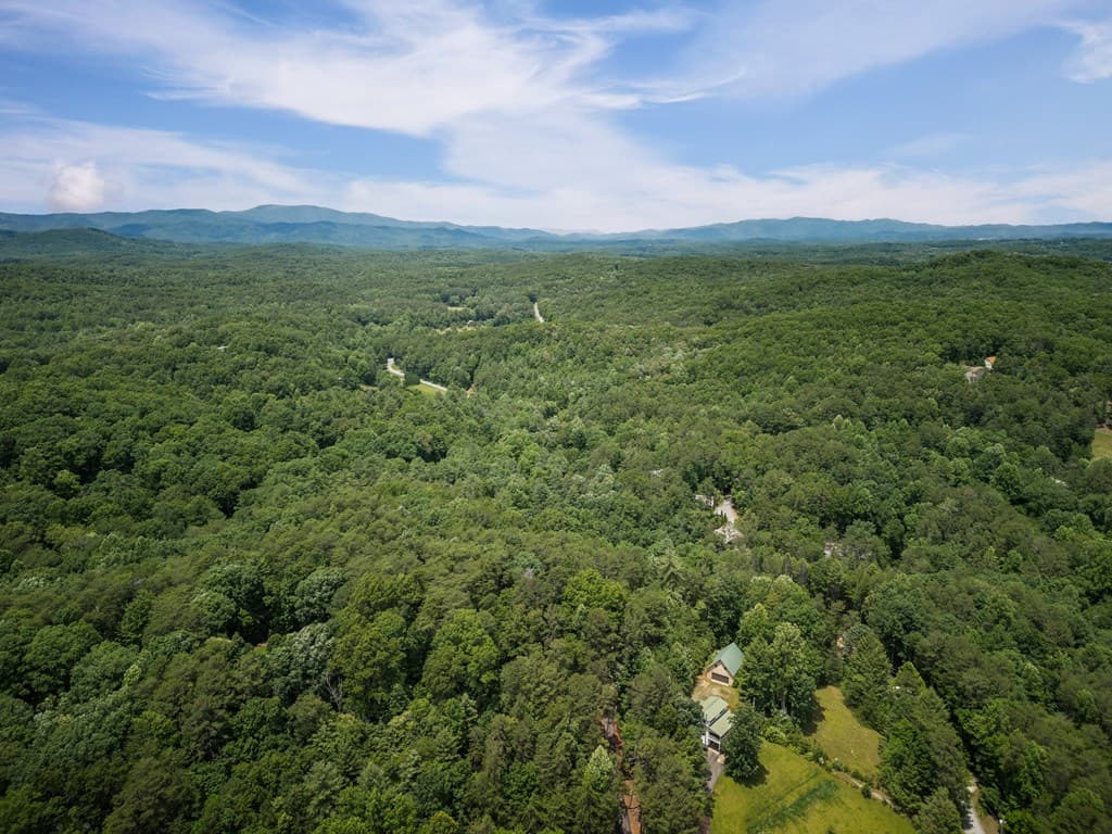 190 Laurel Crossing, Blue Ridge GA 30513 - Photo