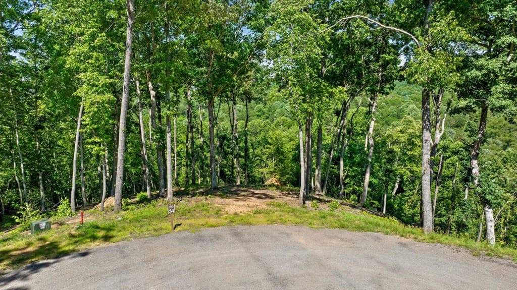 Lot 54 Hickory Lane, Mineral Bluff GA 30559 - Photo