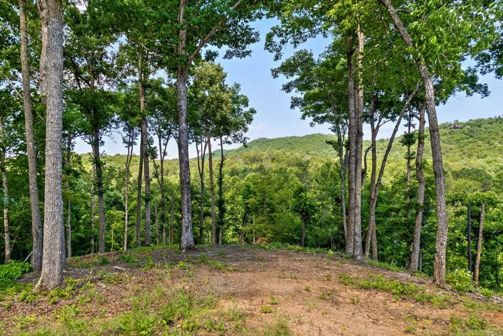 Lot 54 Hickory Lane, Mineral Bluff GA 30559 - Photo