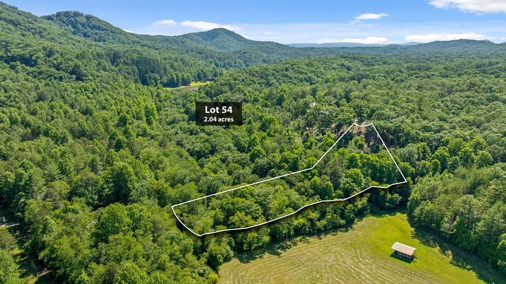 Lot 54 Hickory Lane, Mineral Bluff GA 30559 - Photo