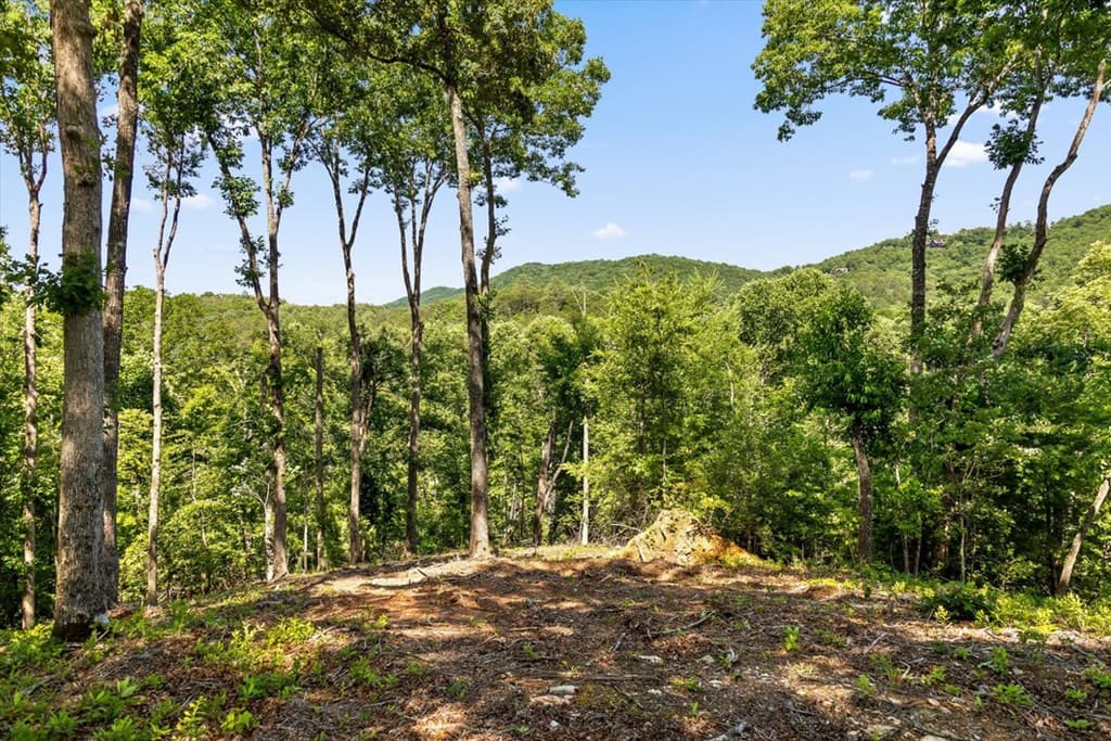 Lot 54 Hickory Lane, Mineral Bluff GA 30559 - Photo