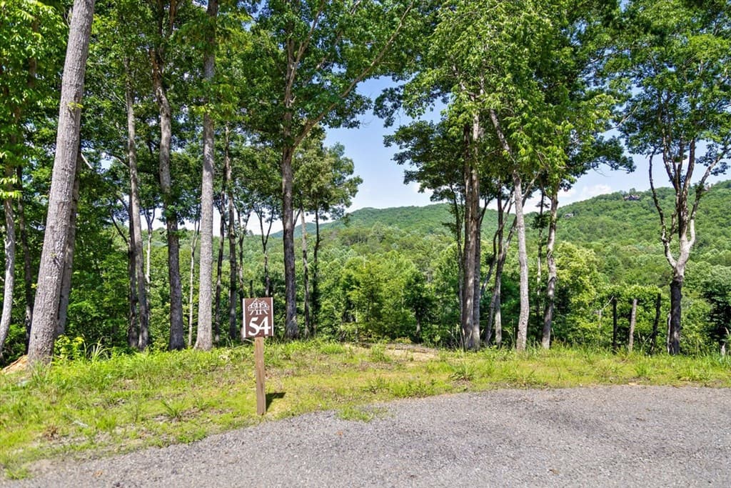 Lot 54 Hickory Lane, Mineral Bluff GA 30559 - Photo