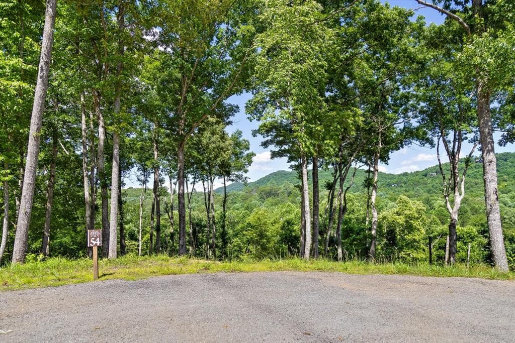 Lot 54 Hickory Lane, Mineral Bluff GA 30559 - Primary photo