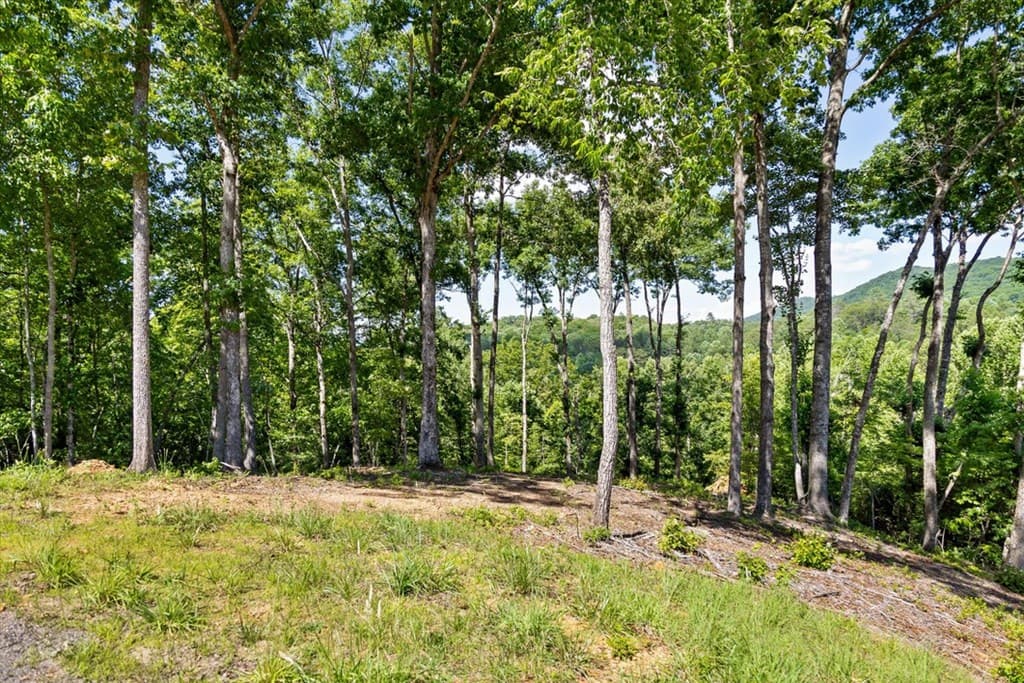 Lot 54 Hickory Lane, Mineral Bluff GA 30559 - Photo