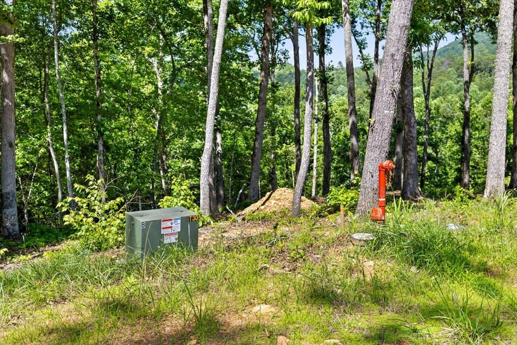 Lot 54 Hickory Lane, Mineral Bluff GA 30559 - Photo