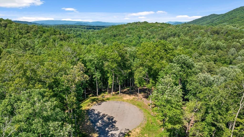 Lot 54 Hickory Lane, Mineral Bluff GA 30559 - Photo