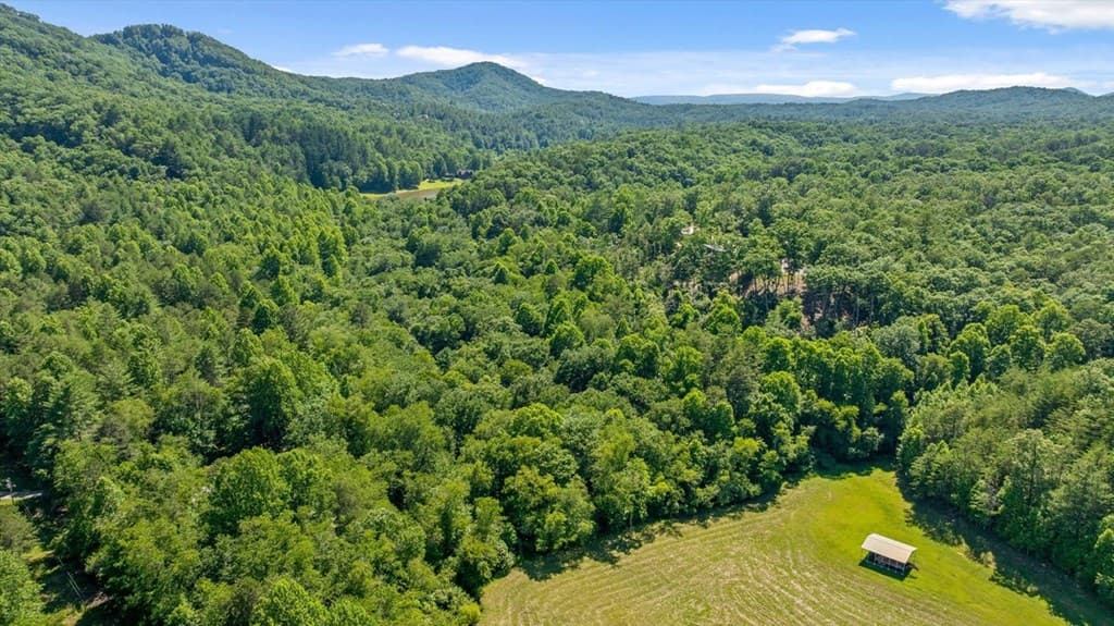 Lot 54 Hickory Lane, Mineral Bluff GA 30559 - Photo