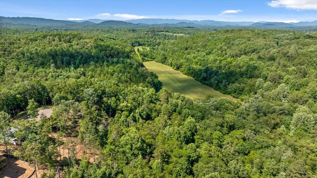 Lot 54 Hickory Lane, Mineral Bluff GA 30559 - Photo