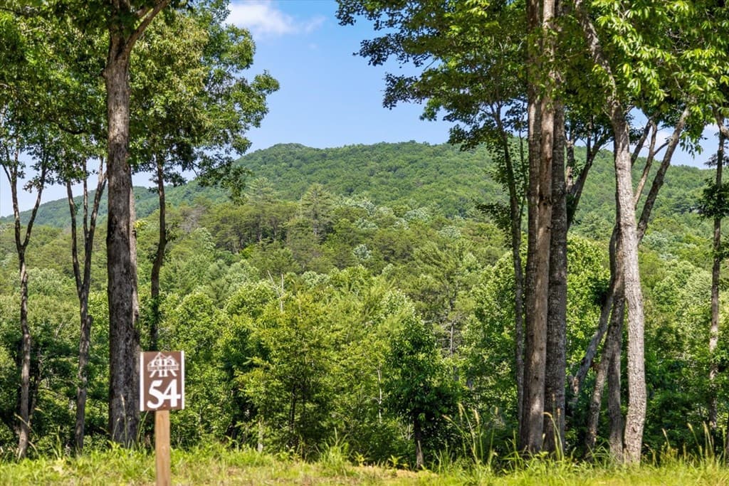 Lot 54 Hickory Lane, Mineral Bluff GA 30559 - Photo